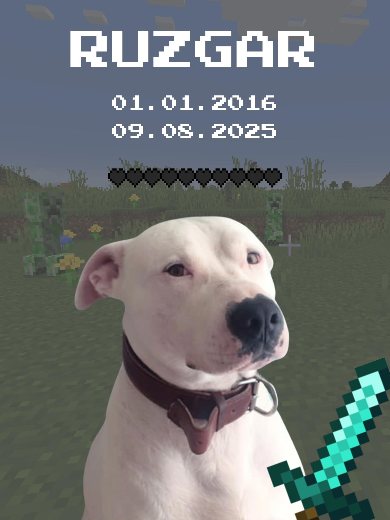test deneme